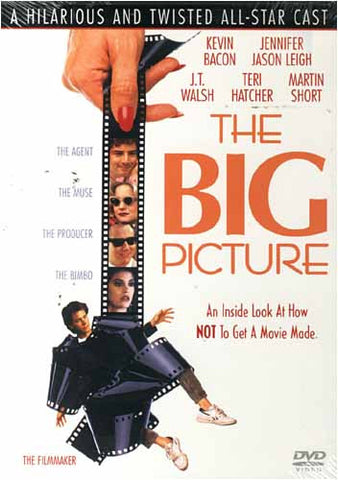 The Big Picture DVD Movie 