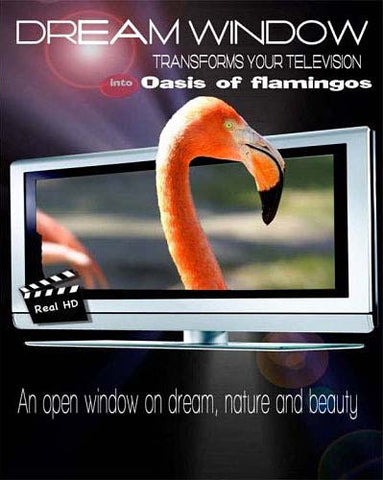 Oasis Of Flamingos (Dream Window) DVD Movie 