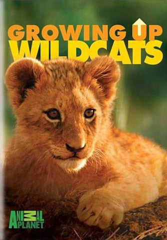 Growing Up Wild Cats DVD Movie 