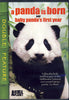 A Panda Is Born/Baby Panda's First Year (Double Feature) DVD Movie 