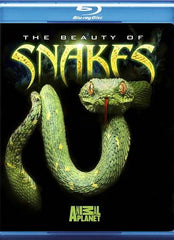 The Beauty Of Snakes (Blu-ray)