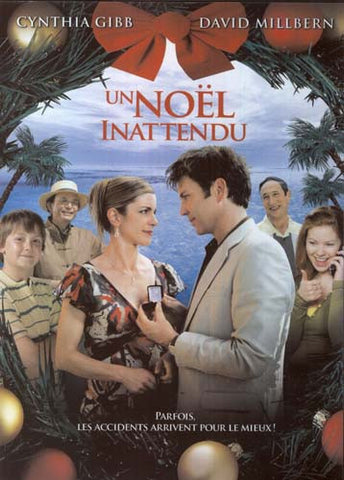 Un Noel Inattendu (Original French Movie) DVD Movie 
