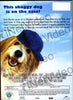 Woof! DVD Movie 