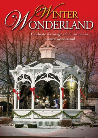 Winter Wonderland DVD Movie 