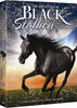The Adventures Of The Black Stallion - The Complete Season 1 (Boxset) (AL) (Bilingual) DVD Movie 