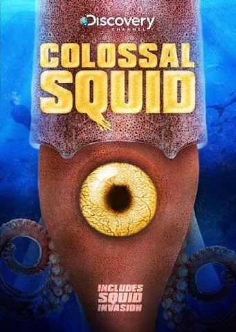 Colossal Squid DVD Movie 