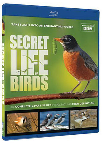 Secret Life of Birds (Blu-ray) (Limit 1 copy) BLU-RAY Movie 