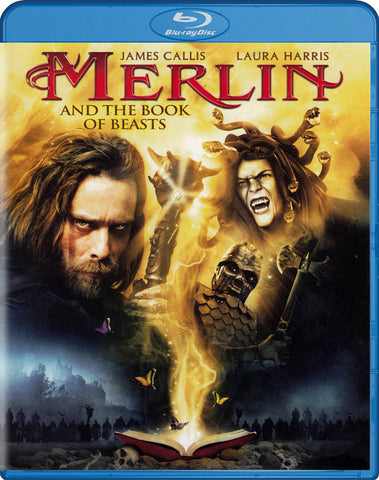 Merlin and the Book of Beasts (Blu-ray) BLU-RAY Movie 