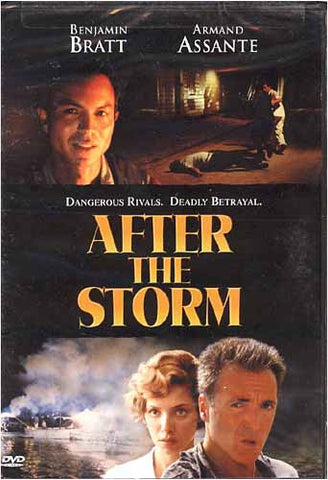 After The Storm DVD Movie 