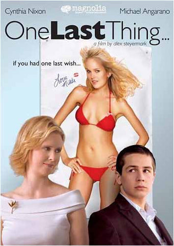 One Last Thing... (Widescreen) DVD Movie 