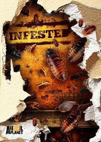 Infested DVD Movie 