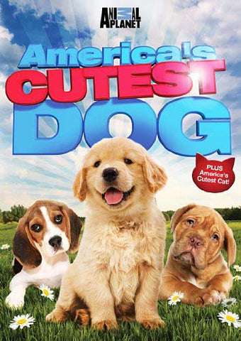 America's Cutest Dog DVD Movie 