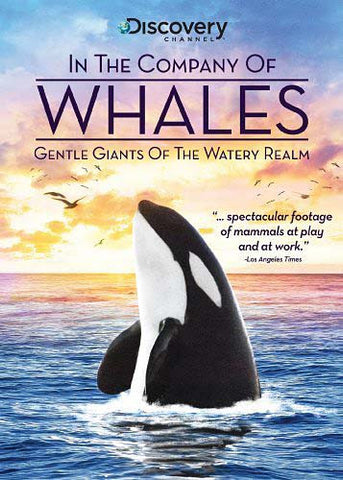 In the Company of Whales DVD Movie 