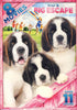 8-Movie Kid s Big Escape (Value Movie Collection)(Boxset) DVD Movie 