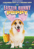 An Easter Bunny Puppy DVD Movie 