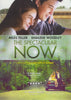 The Spectacular Now DVD Movie 