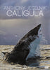Anthony Jeselnik : Caligula DVD Movie 